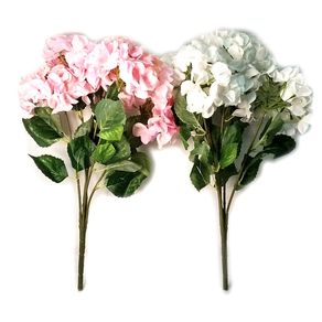 AM1645 BUQUE DE HORTENSIA