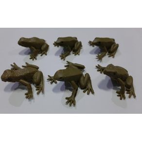 025 RAZINHA C/6