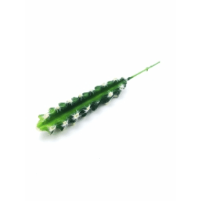 W298-85 CACTO CEREUS P