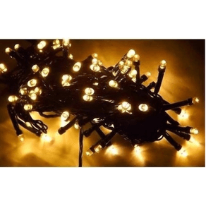 1508 PISCA C/100 LED MORNO 9.5MTS 8FUNCOES FIO VERDE 220V