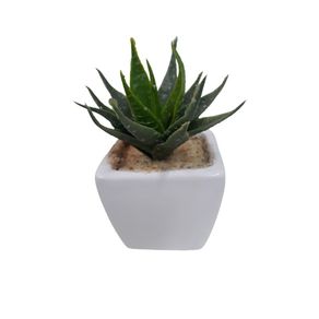 3619 VASO SUCULENTA 12CM 3619 VASO SUCULENTA 12CM