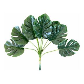 E/0777 MINI COSTELA DE ADAO 35CM