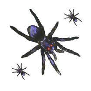 1239 KIT ARANHA C/3