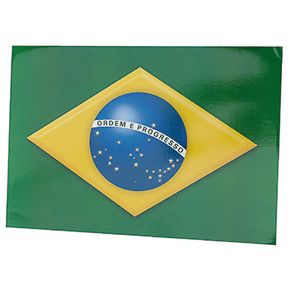 260 KIT BANDEIRA C/2