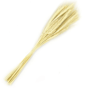 229BR HASTE TRIGO 70CM AMARRADO C/50 GALHOS
