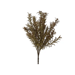 CK-0005 BUQUE DE ALECRIM
