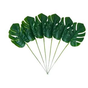 E/0661 FOLHA COSTELA DE ADAO TOQUE NATURAL X1 80CM E/0661 FOLHA COSTELA DE ADAO TOQUE NATURAL X1 80CM