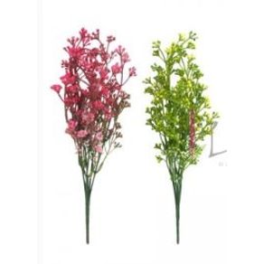 CD-0048 BUQUE SEMENTINHAS