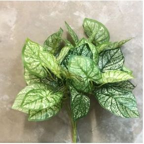 W507-25 BUQUE TINHORAO 144/72/12 27CM