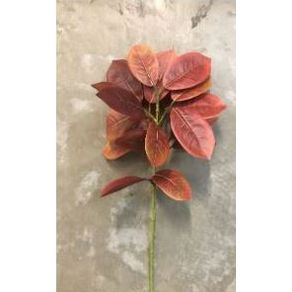 W300-163MR GALHO FICUS MR X4 144/72/12 68CM