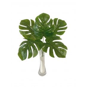 E/0673 BUQUE DE COSTELA DE ADAO X 5 34CM