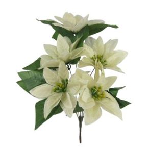 04665 BICO DE PAPAGAIO X5 35CM