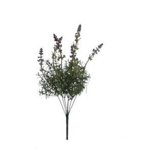AP-0059 BUQUE LAVANDA