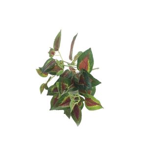 W507-27 BUQ.TAMPALA 144/72/12 28CM W507-27 BUQ.TAMPALA 144/72/12 28CM