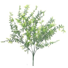 CD-0078 BUQUE AVENCA