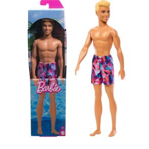 HXX52 BB BARBIE PRAIA KEN SORTIMENTO