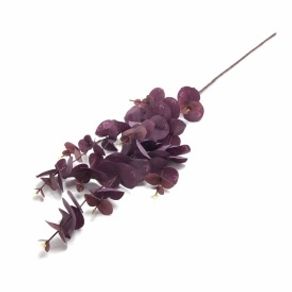 W507-98RX GALHO EUCALIPTO X5 240/72/12 96CM