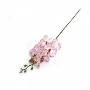 W300-181WPK GALHO ORQUIDEA X7 BC/RS 120/36/12 84CM