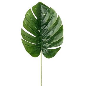 EJ-0043G GALHO DE COSTELA DE ADAO