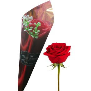 ASH-82.0215 BOTAO DE ROSA 38CM