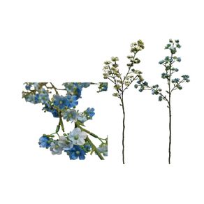 BG-0007 GALHO DE MARGARIDA