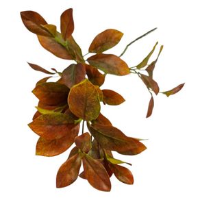 W507-68 GALHO PROPOSE X3 240/48/12 80CM