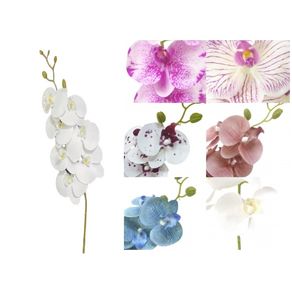 03867 ORQUIDEA TOQ REAL X7 1,05M 03867 ORQUIDEA TOQ REAL X7 1,05M