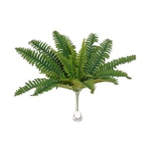 E/0833 SAMAMBAIA X 18 50CM