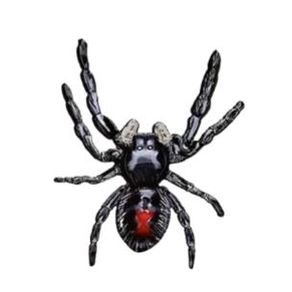158 ARANHA C/06