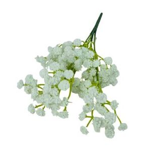 CD-0064 BUQUE DE MOSQUITINHO