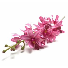 W530-01PK GALHO ORQ.DENPHAL X15 79CM