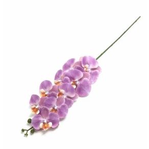 W300-182LL GALHO DE ORQUIDEA X9 120/48/12 92CM