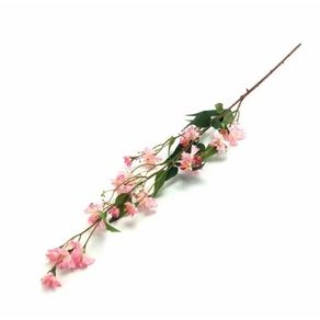 W298-182RS GALHO CHICORIA X4