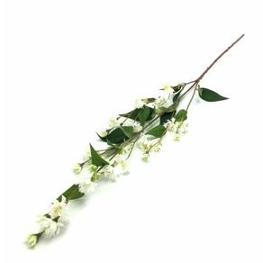 W298-182W GALHO CHICORIA X4 240/72/12 1,03CM