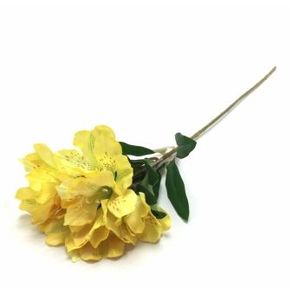 W534-10AM GALHO ASTROMELIA 60CM