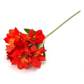 W534-10VM GALHO ASTROMELIA 60CM