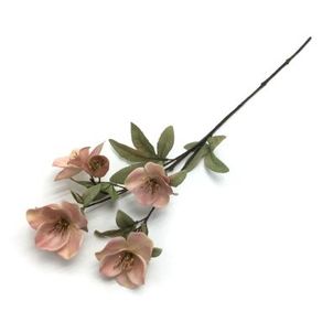 W113-276VM GALHO MAGNOLIA  X5