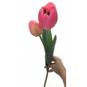 W113-268RS GALHO DE TULIPA X2 56CM