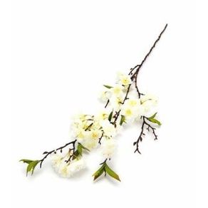 W113-200BR GALHO CEREJEIRA 72CM