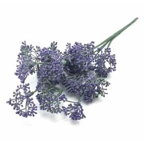 W418-30 BUQUE COMPLEMENT ROXO X5