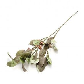 W113-246MR GALHO CEREJ NEGRA X2 90CM