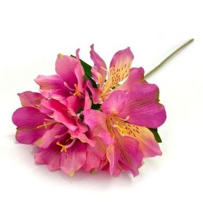 W534-10PK GALHO ASTROMELIA 60CM