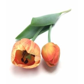 W113-268LJ GALHO DE TULIPA X2 56CM