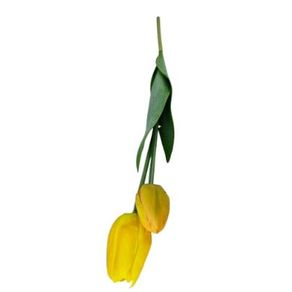 W113-268AM GALHO DE TULIPA X2 56CM