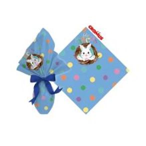 88500415 EXPRESS FELICITA AZUL 18X18 PT C/25 UN